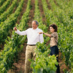 Révéler la beauté de la champagne