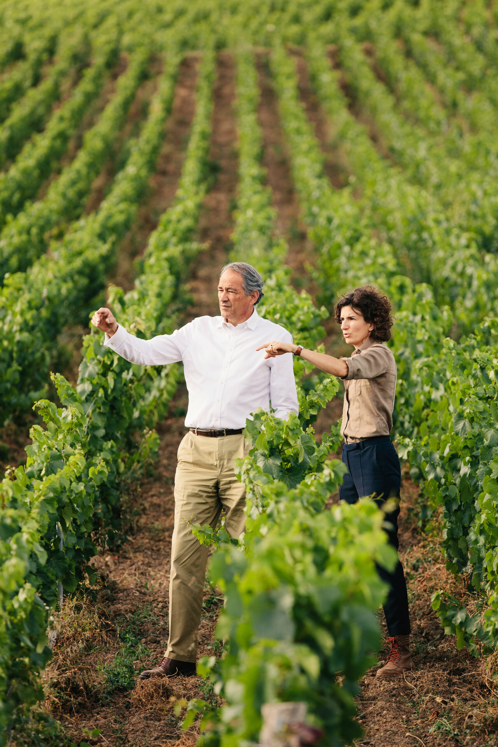 Révéler la beauté de la champagne